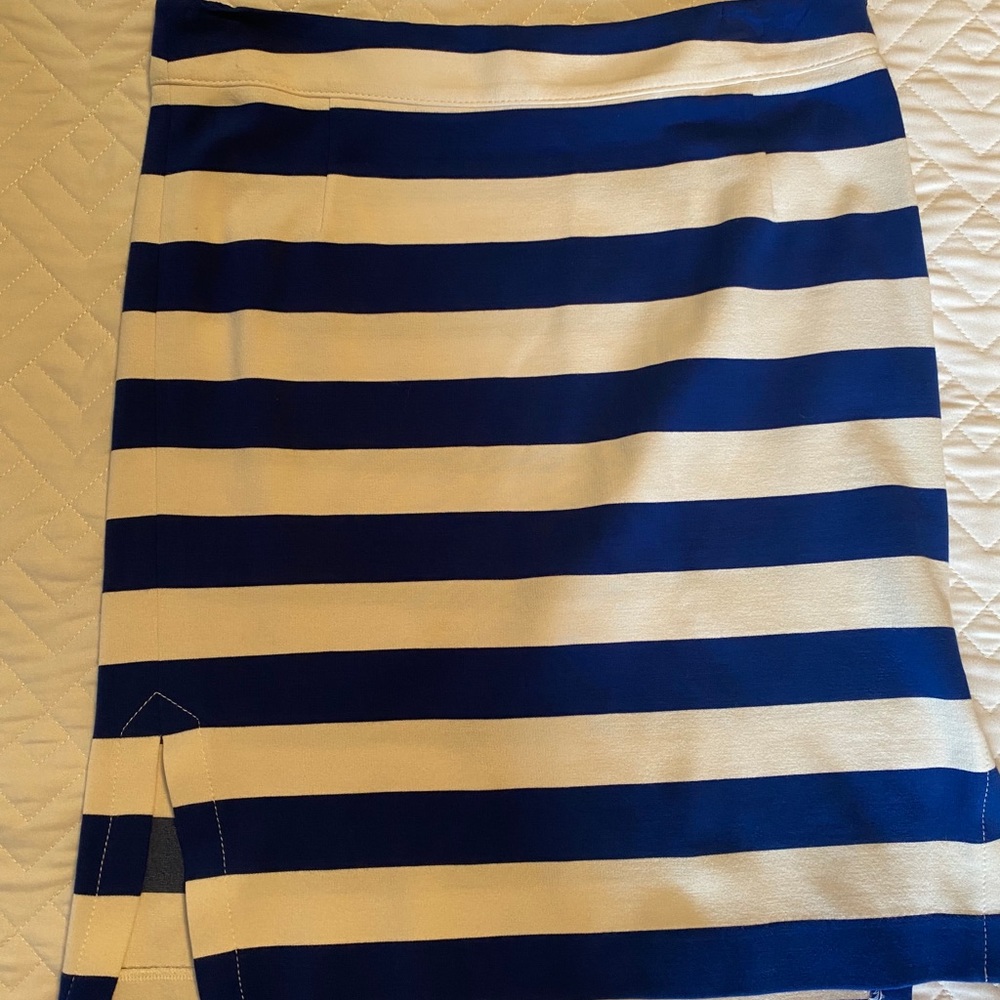 Banana Republic Skirt